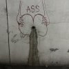 助教很躁