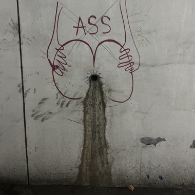 助教很躁