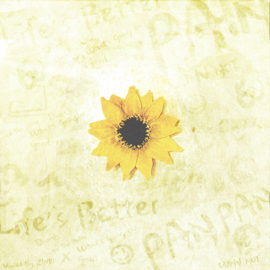 5.PAN PAN-Dumb