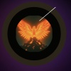 unyielding dreamer