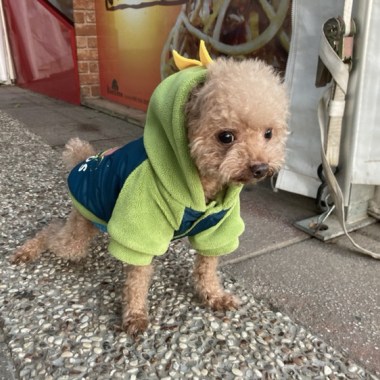不說