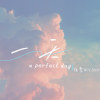 一天 a perfect day