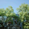 后来（cover：刘若英）