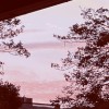 Lou - JAZZCHOPS