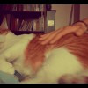 Lou - 草原上奔跑的貓 Cat is running on the grassland. (chill boom bap)