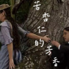 苦杏仁的芳香demo