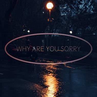 why are you sorry - demo