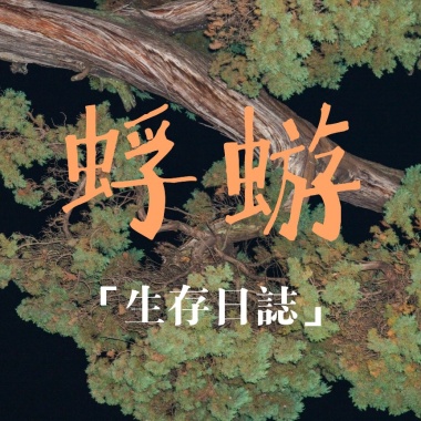 我们的歌