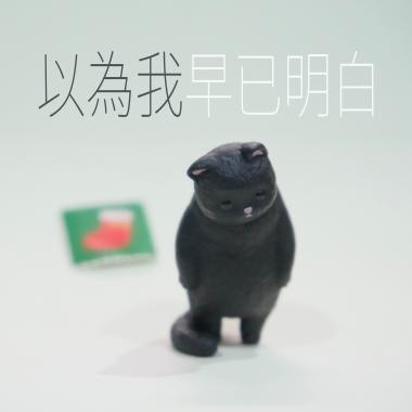 以為我早已明白