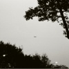 Willing (with 周穆 & Kalabebe)