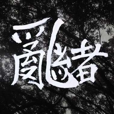 双DEMO