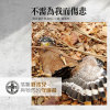 不需為我而傷悲