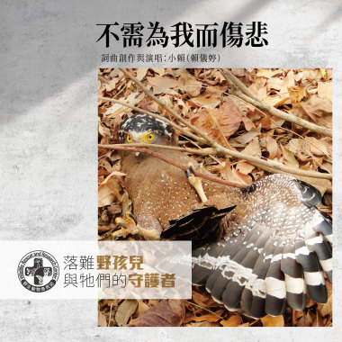 不需為我而傷悲