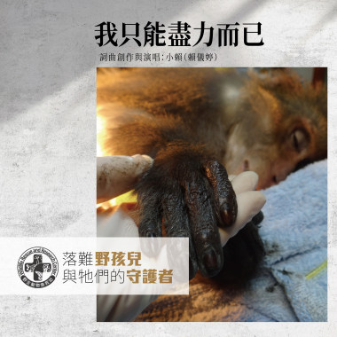 我只能盡力而已