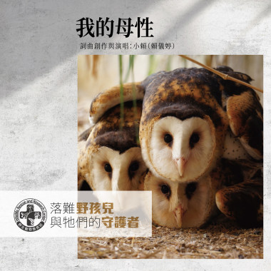 我的母性