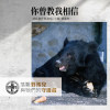 你曾教我相信