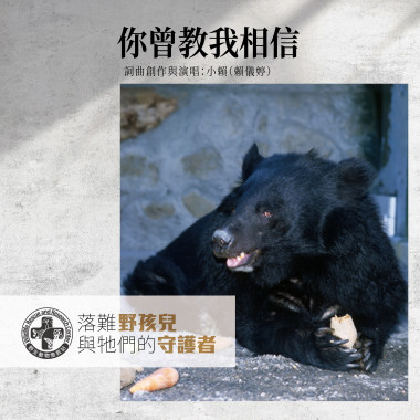 你曾教我相信