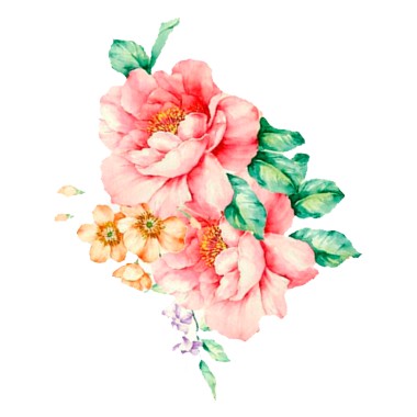乾燥花 (cover)