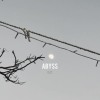深淵 ABYSS