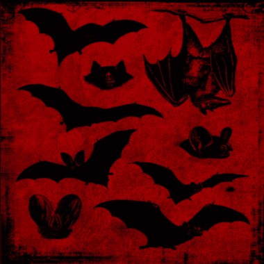 Bloodlustboi - DrK K9T!
