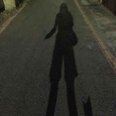 吉娃娃