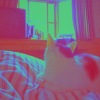 給你我最好的