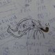 下次再說
