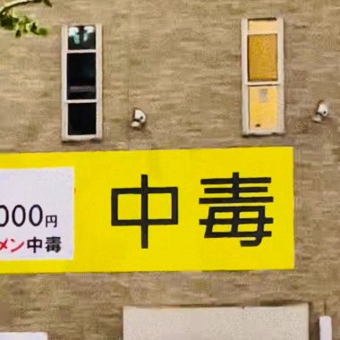 大象
