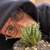 beanstalk_1005 (demo version)