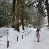 雪の國度