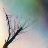 雨季 DEMO