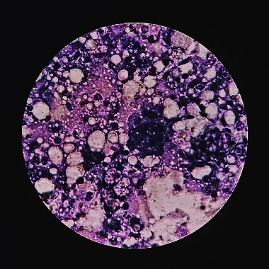 Apoptosis ft.潘婕PJ (demo)