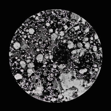 Apoptosis (Lofi-Hiphop Beats) ft.潘婕PJ