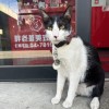 壞心思