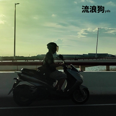 流浪狗