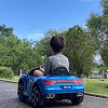 year's travel
