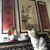 大雨過後