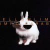 yellowlime | JumpoRarabit