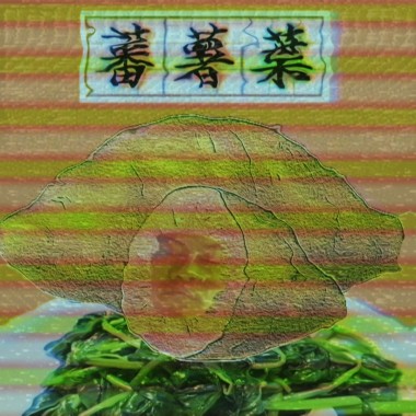 13. 蕃薯葉 (ft. PurpleHaze)