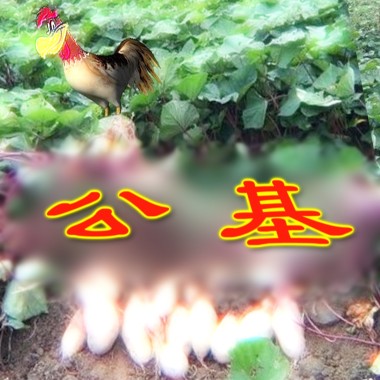 03. 狗狗gAy (ft. Hongja & RAW V.)