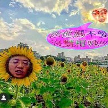 PiNkChAiN - 日環食2021