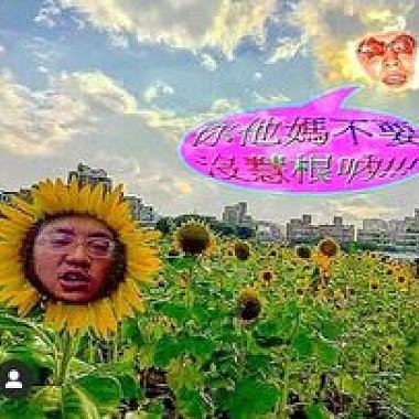 PiNkChAiN - 日環食2021