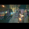 披星戴月（PeeStArDiEMooN）