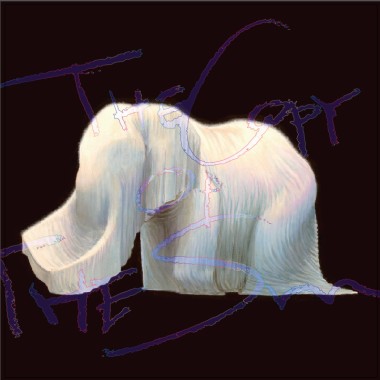 Rapt Air(沙羅曼蛇SALAMANDER REMIX)