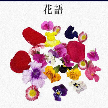花語(李雨寰 x 沙羅曼蛇)
