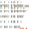 Salamander - DEPENDS (Master_WAV16_44.1KHz)