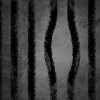 掉下眼淚才是勇敢的人