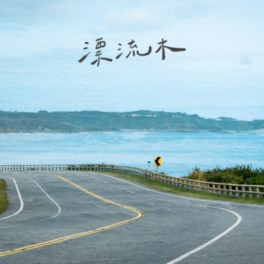 漂流木