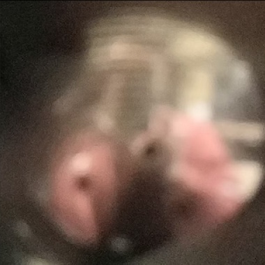 懷疑我的那段日子