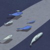魚嶼雨 Demo